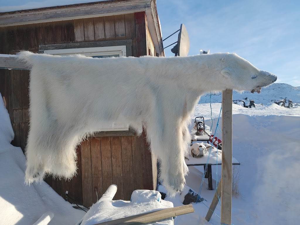 Alberta Taxidermy Studios Ltd | 4995 Centre Ave, New Sarepta, AB T0B 3M0, Canada | Phone: (780) 941-3800