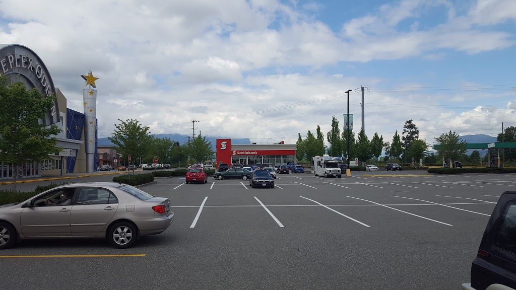 Scotiabank | 19800 Lougheed Hwy, Pitt Meadows, BC V3Y 2W1, Canada | Phone: (604) 460-2160