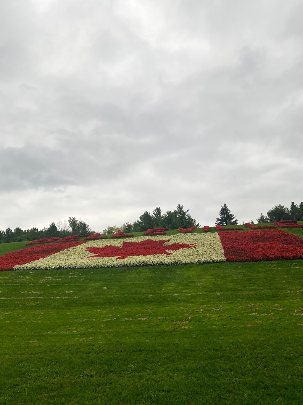 401 Hill Tobogganing Hill (Riverside Park) | Riverside Park Trail, Belleville, ON K8N 2S3, Canada | Phone: (613) 968-6481
