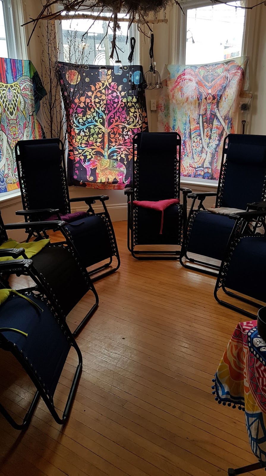 Ancient Roots | 61 W Wilson Rd, Little River, NB E4J 1P5, Canada | Phone: (506) 864-5773