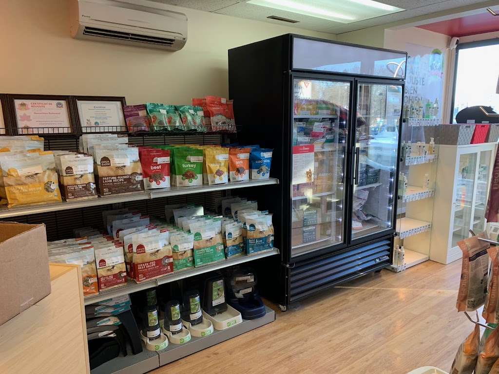 Douceurs Canines | 57 Rue du Pont, Bedford, QC J0J 1A0, Canada | Phone: (450) 248-4148