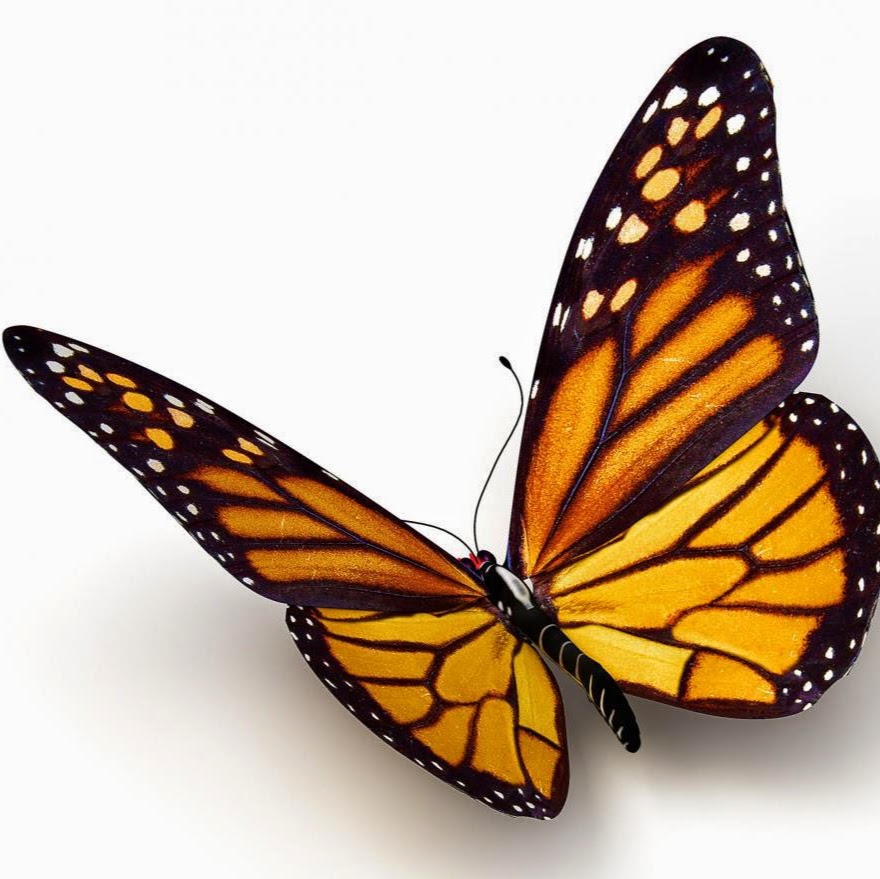 Relaxing Yoga | 22 Nancy St, Bolton, ON L7E 1B3, Canada | Phone: (866) 888-9642