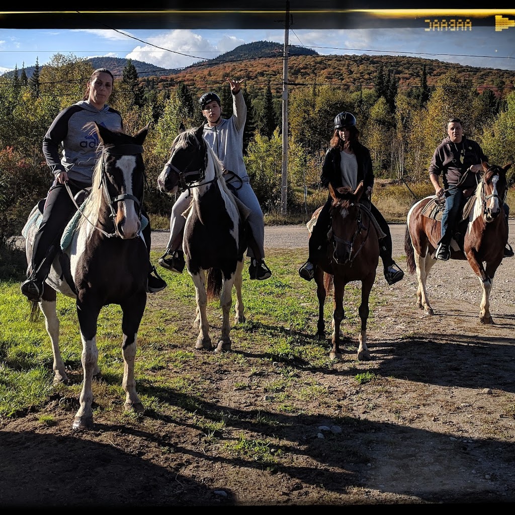 Centre Equestre Riviere Noire | 2465, route 125 Nord, Saint-Donat, QC J0T 2C0, Canada | Phone: (819) 424-4224
