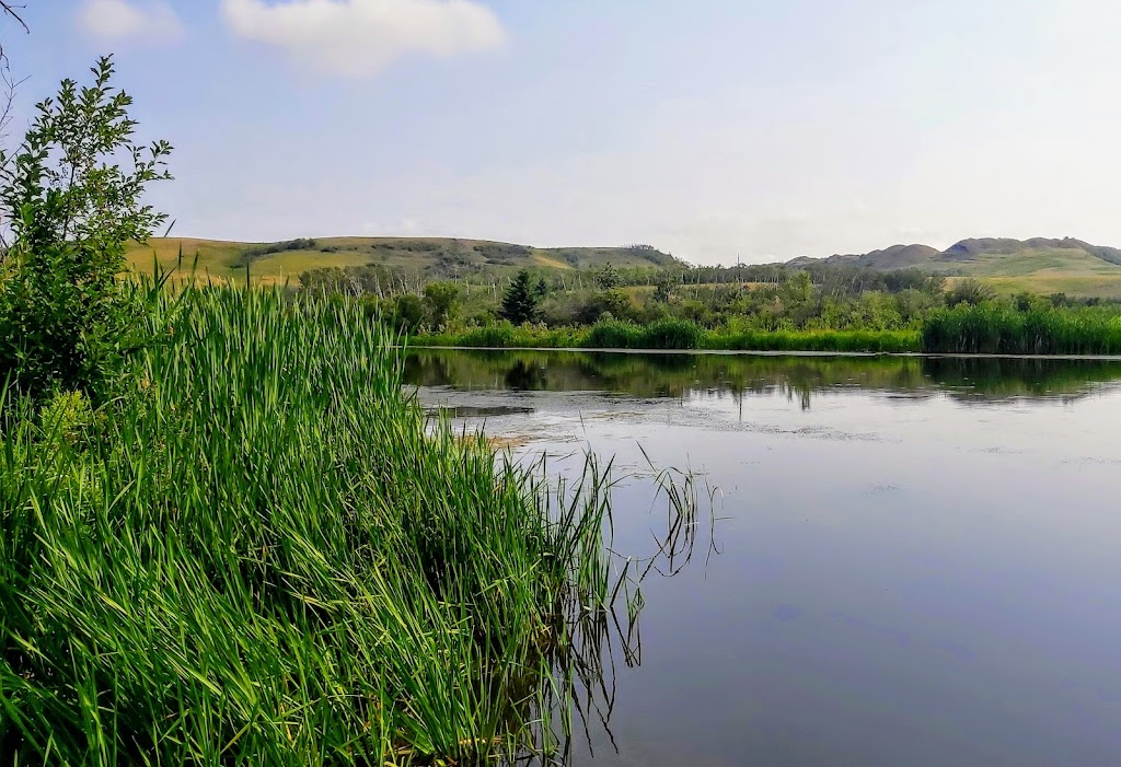 Big Knife Provincial Park | AB-855, Forestburg, AB T0B 1N0, Canada | Phone: (403) 742-7516