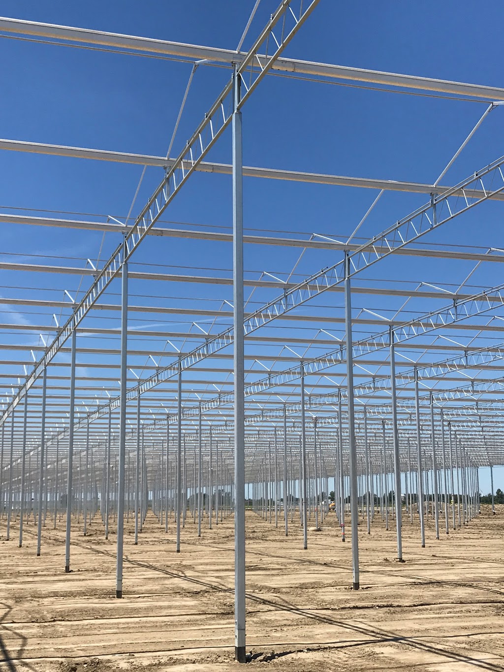 Ruthven Greenhouse Construction | 420 Essex Road 14, Leamington, ON N8H 3V8, Canada | Phone: (519) 326-8808