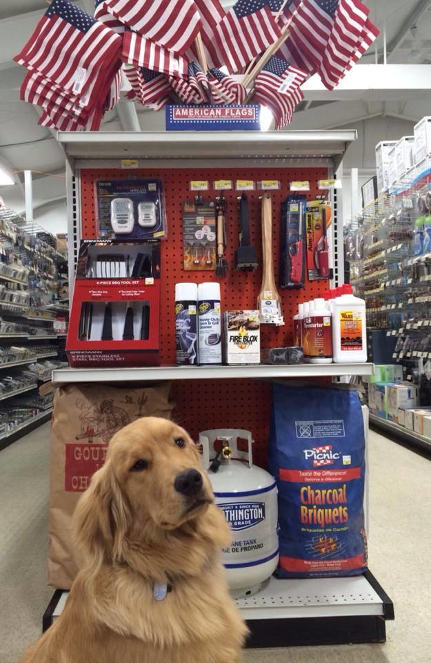 Reboy Supply, Inc. | 1280 Maple Rd, Elma, NY 14059, USA | Phone: (716) 652-4321