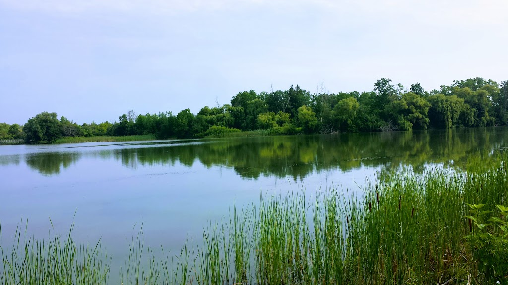 Mel Swart Lake Gibson Conservation Park | Thorold, ON L0S 1A0, Canada