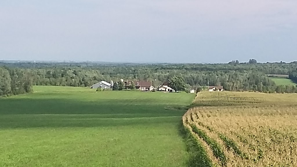 Ferme AGRI M.C. Porc inc. | 1163 3e Rang O, Roxton Pond, QC J0E 1Z0, Canada | Phone: (450) 525-0346