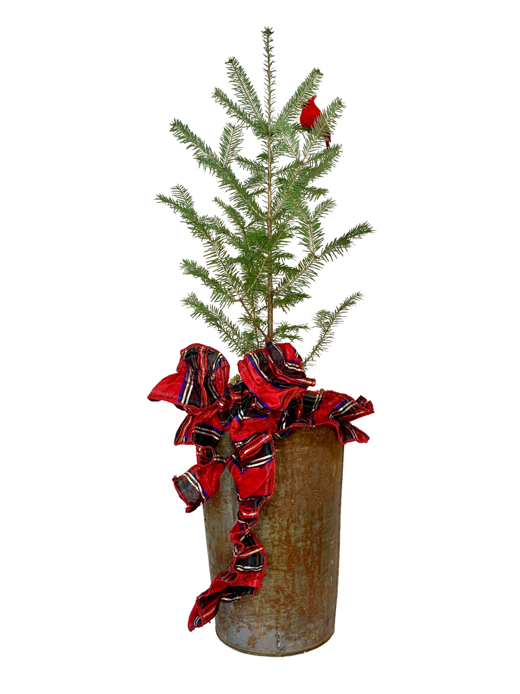 Foraged Florals | 5491 Hwy 12, Harriston, NS B0J 2M0, Canada | Phone: (902) 209-3638