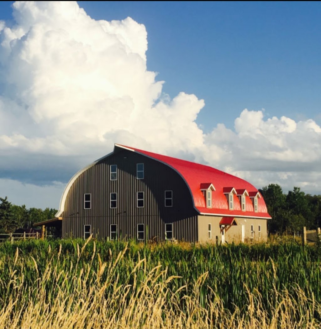 Red Stag Ranch | Hanover, MB R0A 1X0, Canada | Phone: (204) 371-0745