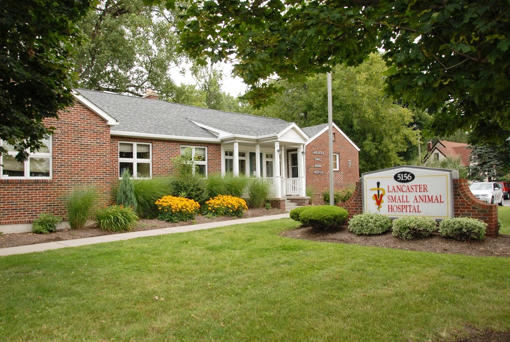 Lancaster Small Animal Hospital | 5156 Genesee St, Bowmansville, NY 14026, USA | Phone: (716) 681-3033
