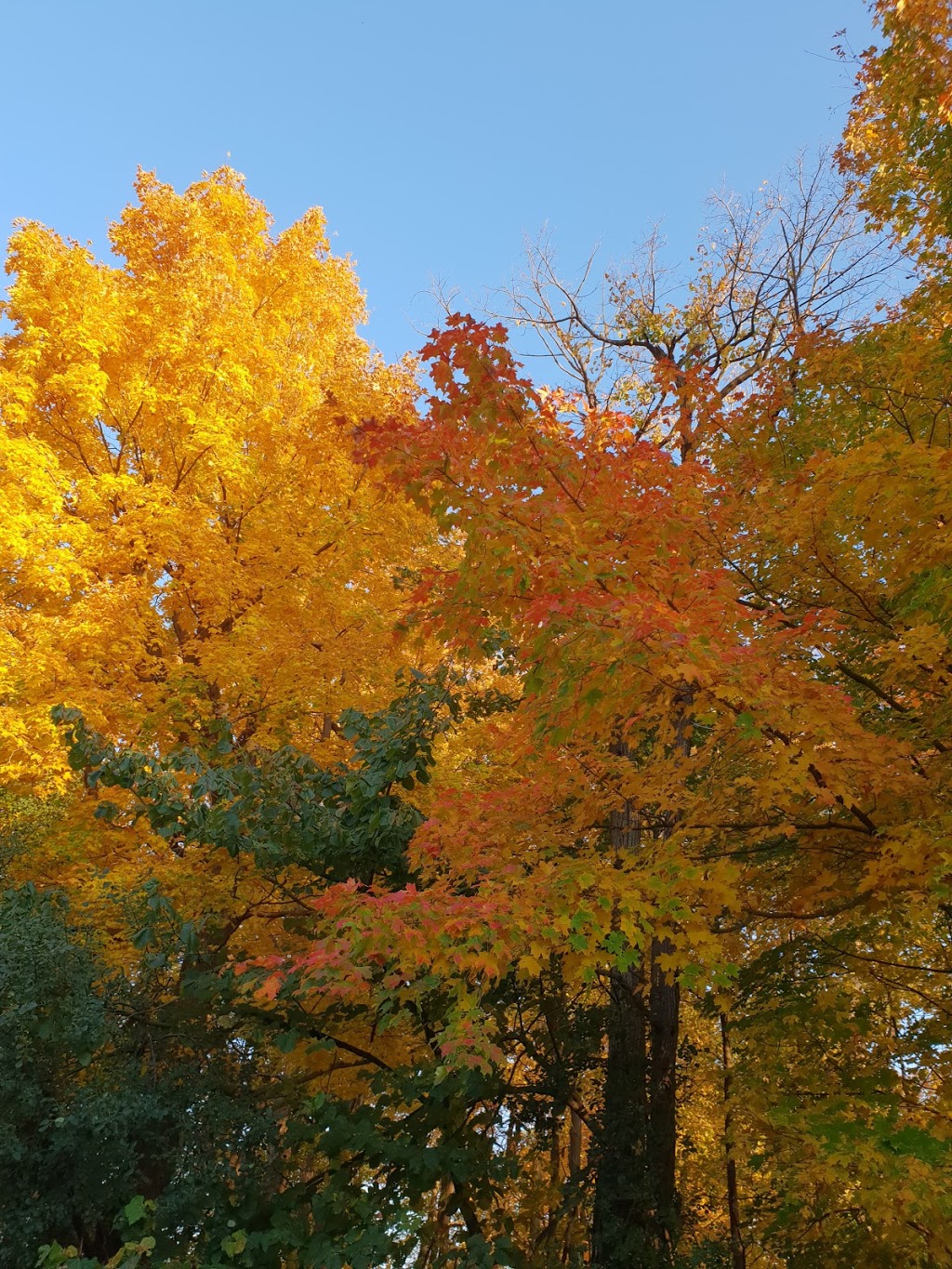 Richvale Greenway Park | Unnamed Road, Richmond Hill, ON L4C 5J2, Canada