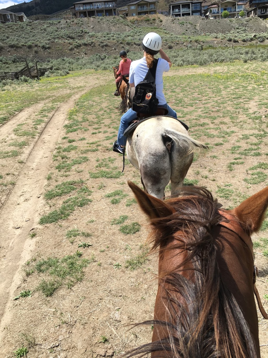 Sun Hills Riding Centre | 3800 Golf Course Dr, Osoyoos, BC V0H 1V4, Canada | Phone: (250) 408-9990