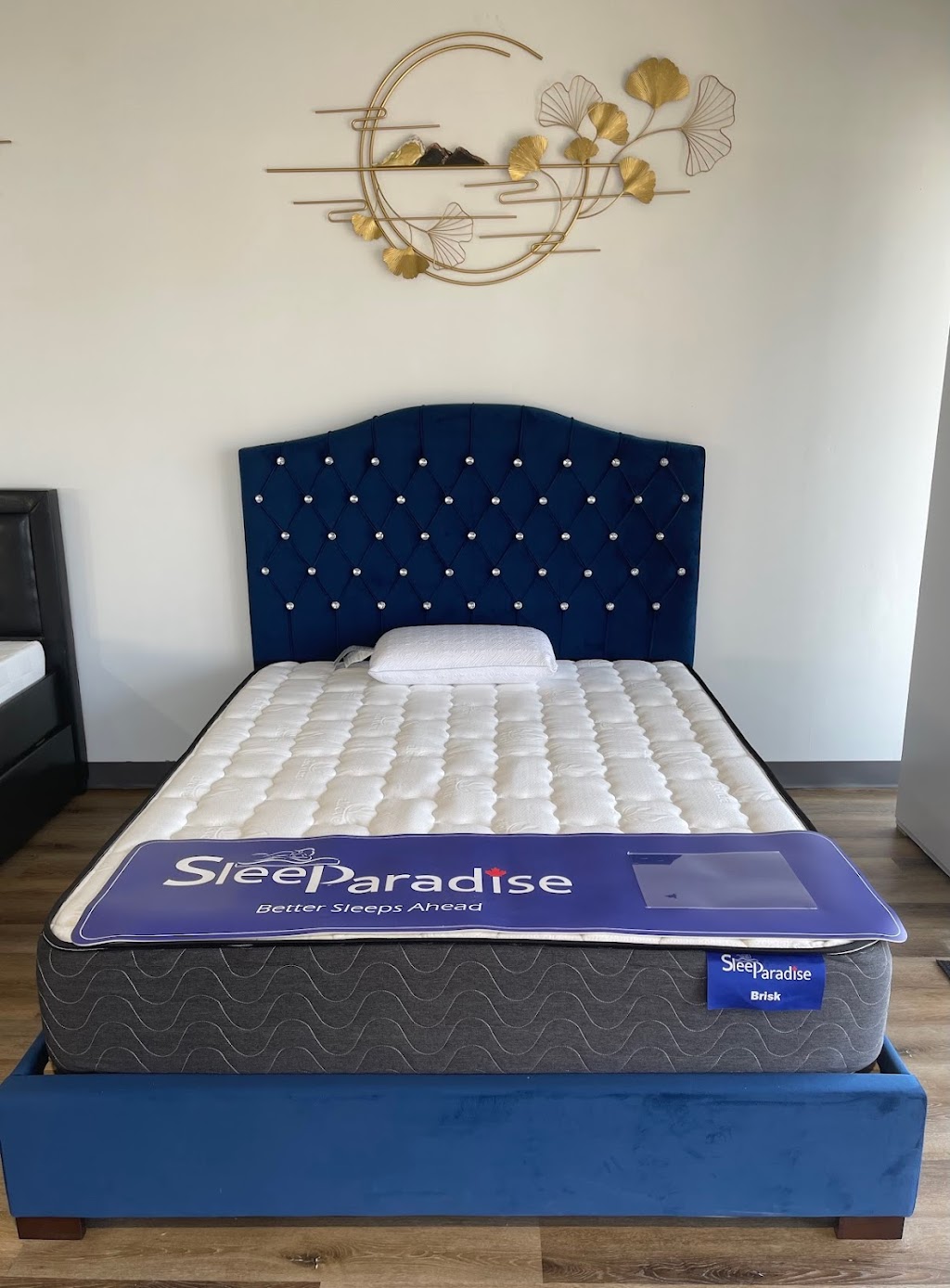Sleep Paradise | U-3, 1119 Fennell Ave E, Hamilton, ON L8T 1S2, Canada | Phone: (289) 755-0097