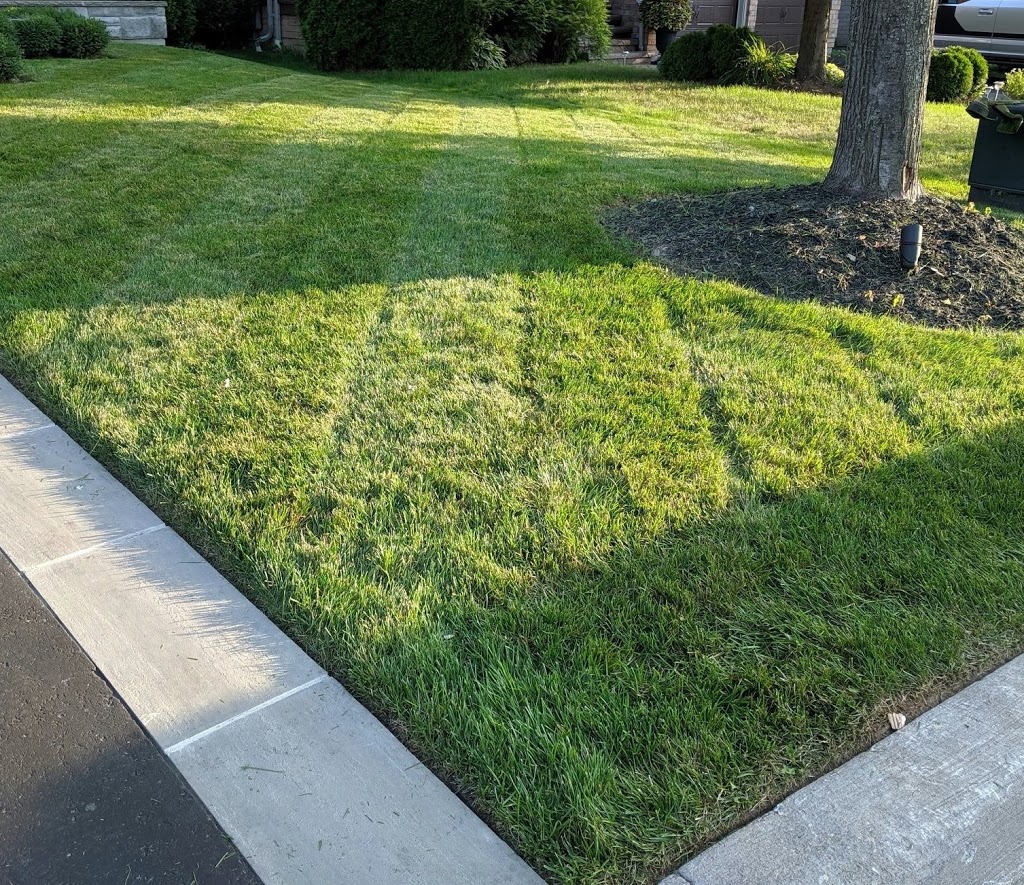 Mow Express Lawn Care | 22 Lafayette Blvd, Whitby, ON L1P 1S9, Canada | Phone: (416) 616-3831