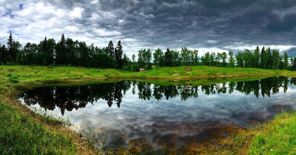 Rainbow Ridge RV Park | Mountain View County, AB T0M, Canada | Phone: (403) 638-4036