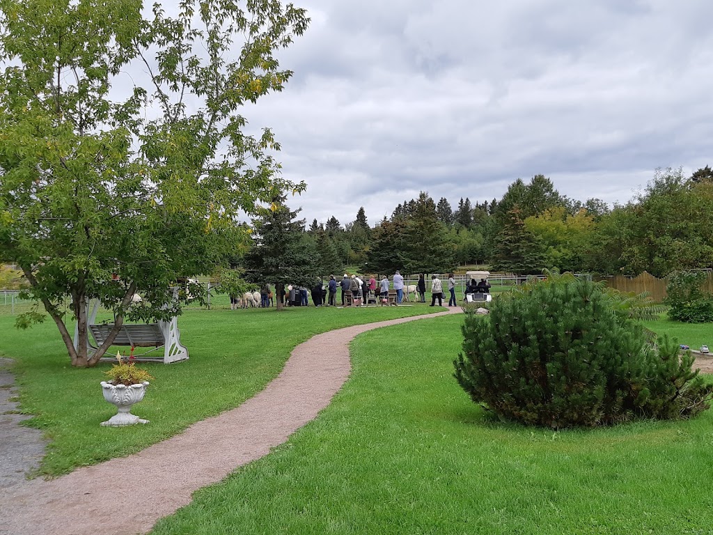 Alpaga Bersi | 2022 Rte Sainte-Geneviève, Canton-Tremblay, QC G7H 5B2, Canada | Phone: (418) 690-0896