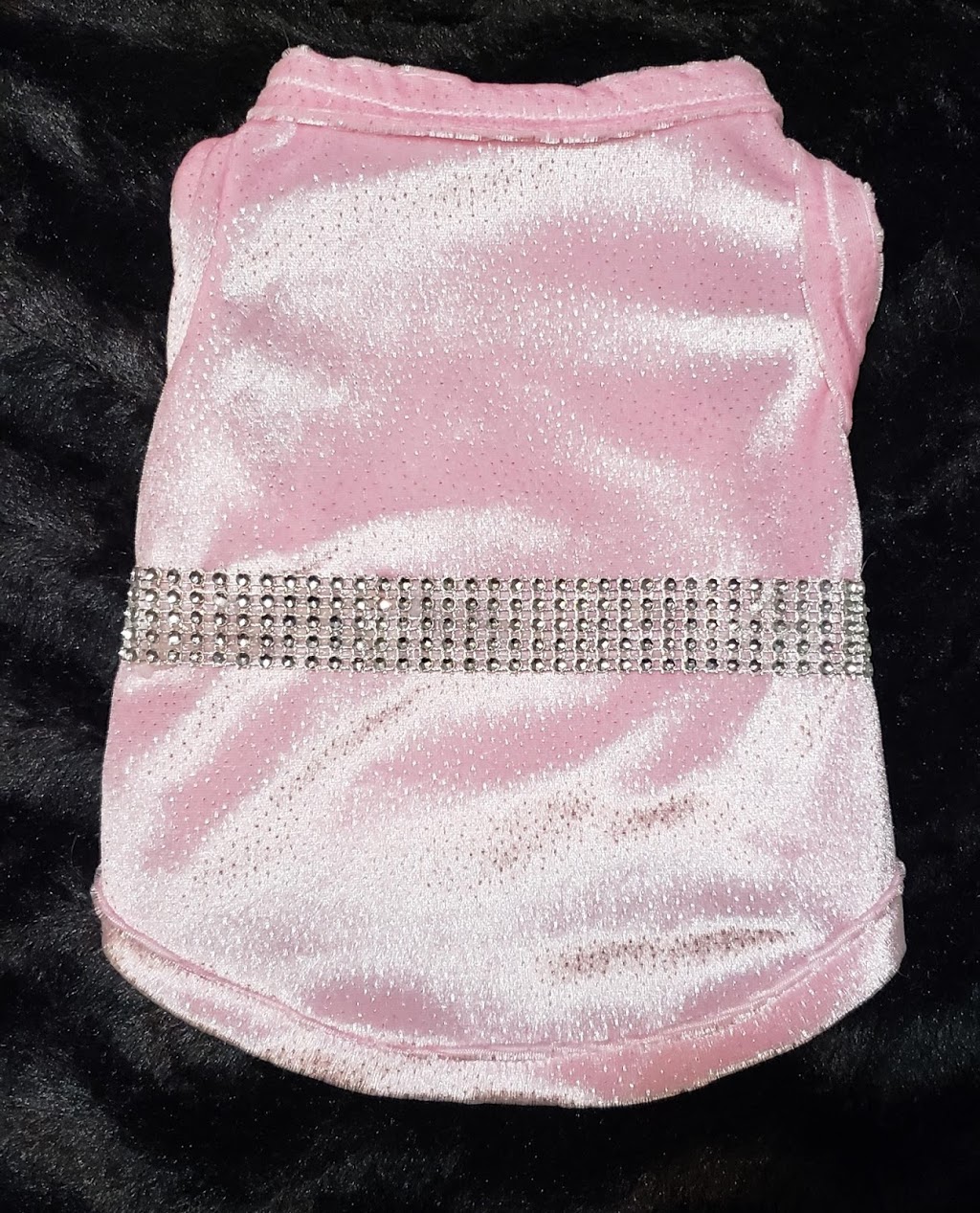 Neems Pet Fashion | 810 St Andrews St, New Westminster, BC V3M 1V8, Canada | Phone: (778) 848-7924