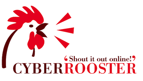 Cyber Rooster Websites | 3675 Chem. Powerscourt, Athelstan, QC J0S 1A0, Canada | Phone: (514) 771-0408