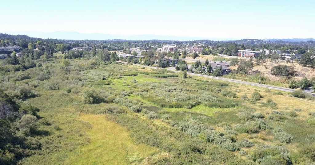 Rithets Bog Park | Saanich, BC V8X 5G6, Canada