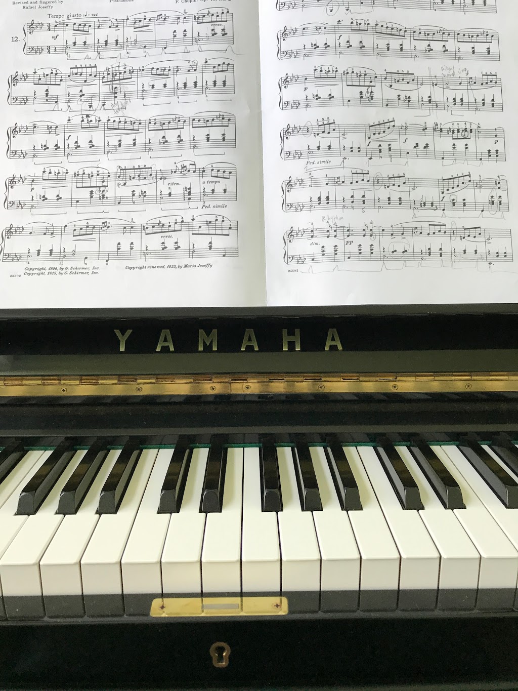 Do Re Mi Music Studio | 2725 Bur Oak Ave Unit 2, Markham, ON L6B 1K7, Canada | Phone: (647) 224-9558