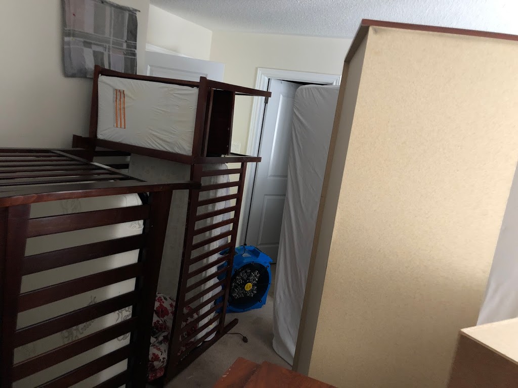 Awesome Pest Control Inc | 81 Tierra Ave, Maple, ON L6A 2Z6, Canada | Phone: (647) 904-2503