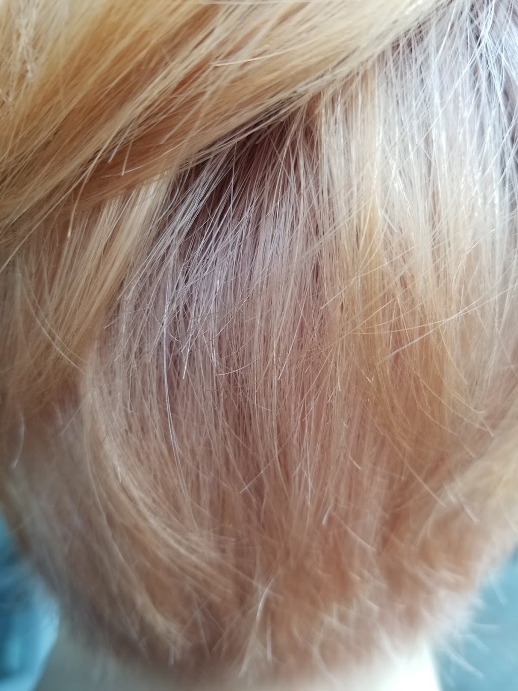 Ambience Hair Salon | 130G-6640 Vedder Road, 20316 56 Ave #103B, Chilliwack, BC V2R 0J2, Canada | Phone: (604) 846-1125