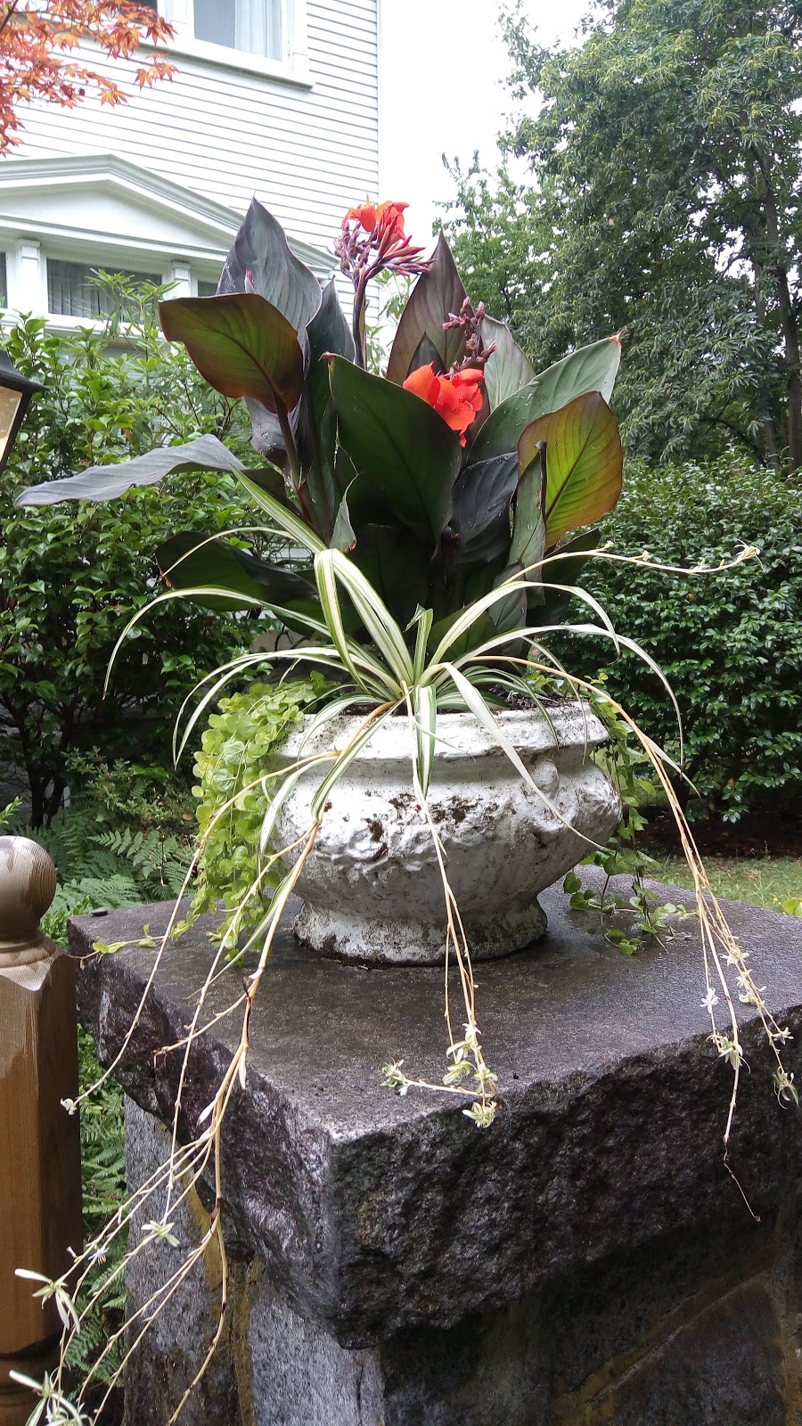 Balfour Inn | 1064 Balfour Ave, Vancouver, BC V6H 1X1, Canada | Phone: (604) 730-9927