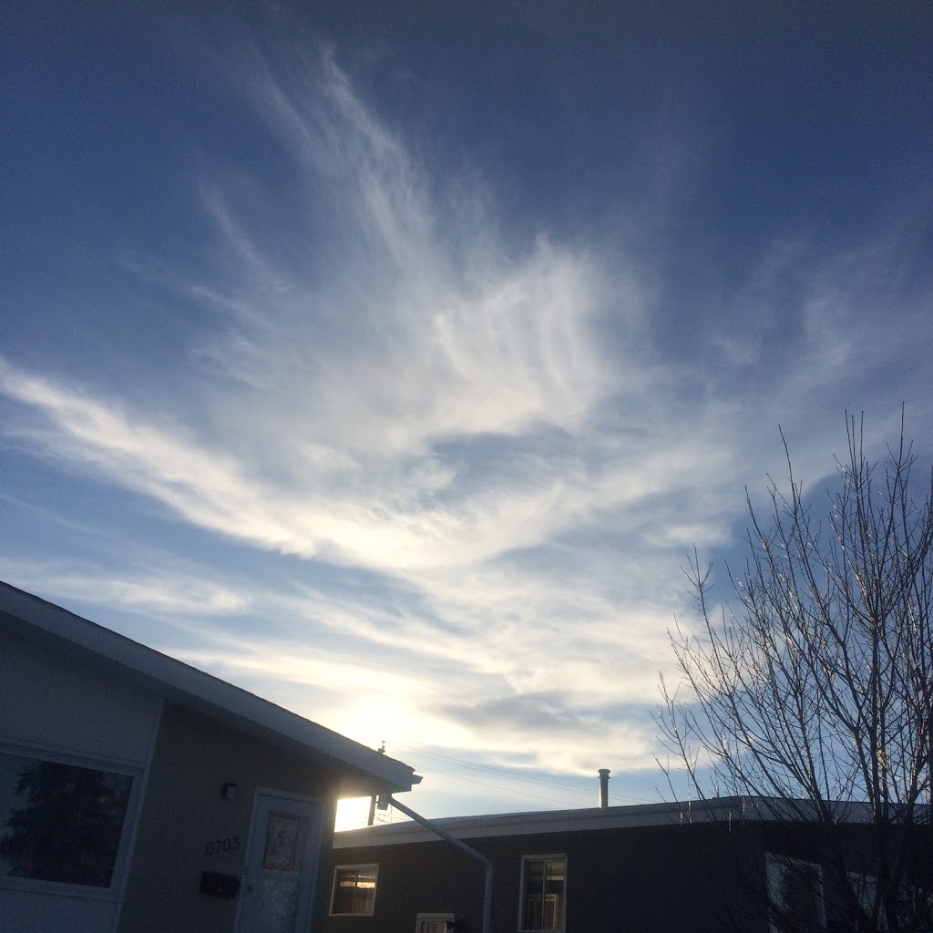 Creation Of A New Dawn | 6705 137 Ave NW, Edmonton, AB T5C 2L1, Canada | Phone: (780) 444-0053