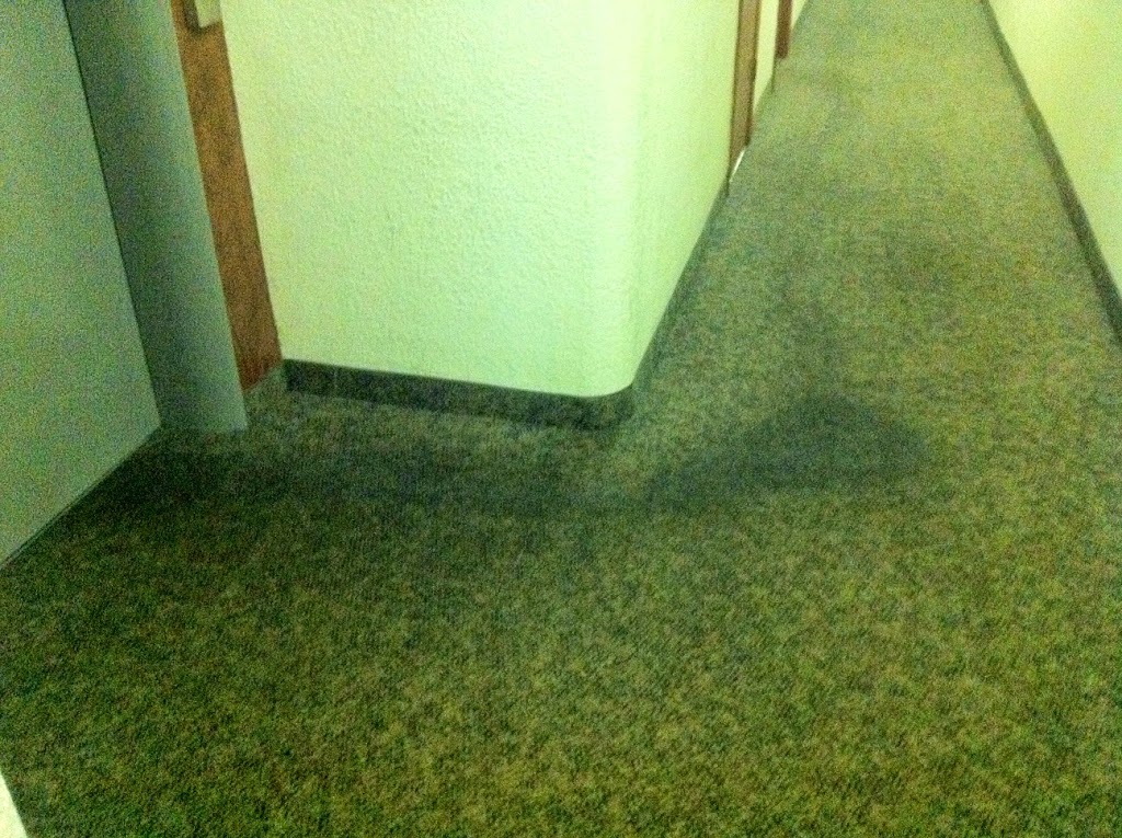 Canadian Care Cleaning | 10707 139 St #102, Surrey, BC V3T 0B2, Canada | Phone: (778) 893-8884