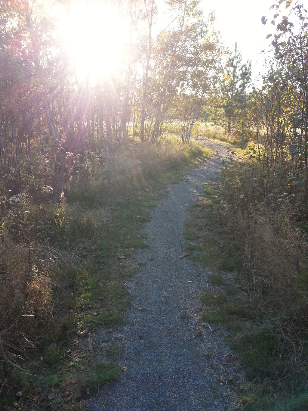 Jean Tellier Trail | Sudbury, ON P0M 1M0, Canada | Phone: (705) 674-4455 ext. 4603