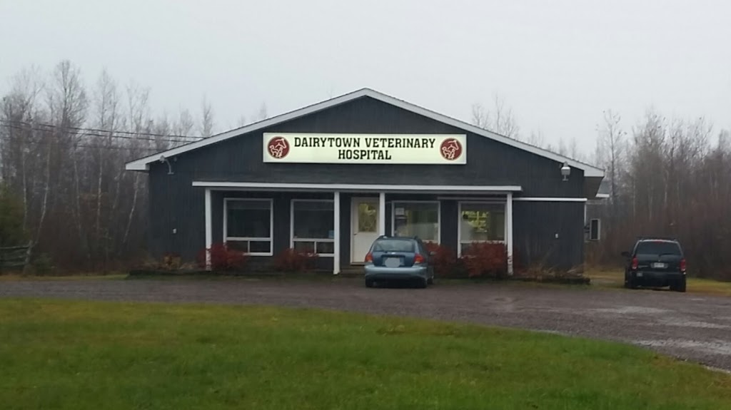 Dairytown Veterinary | 25 Vail Crt, Sussex, NB E4E 2R9, Canada | Phone: (506) 433-3889