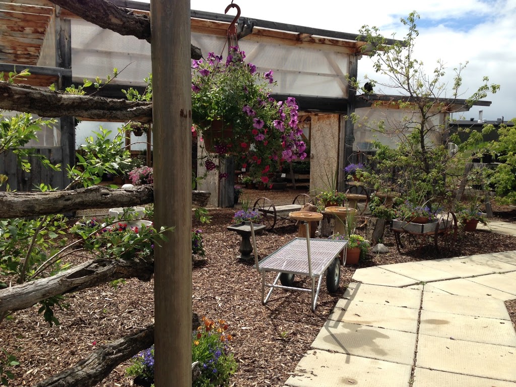 Badger Ridge Greenhouse | Crossfield, AB T0M 0S0, Canada | Phone: (403) 946-0200