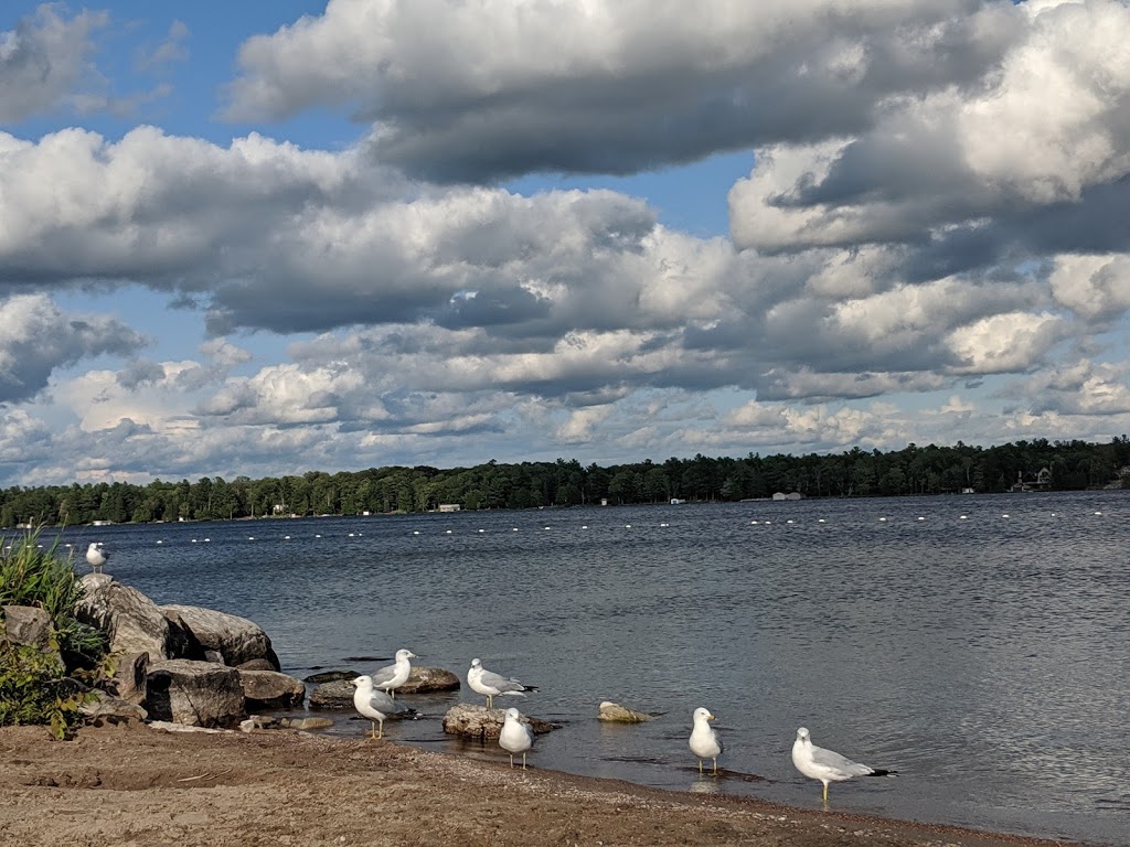 Balsam Lake Provincial Park Beach | Kawartha Lakes, ON K0M 1K0, Canada | Phone: (705) 454-3324