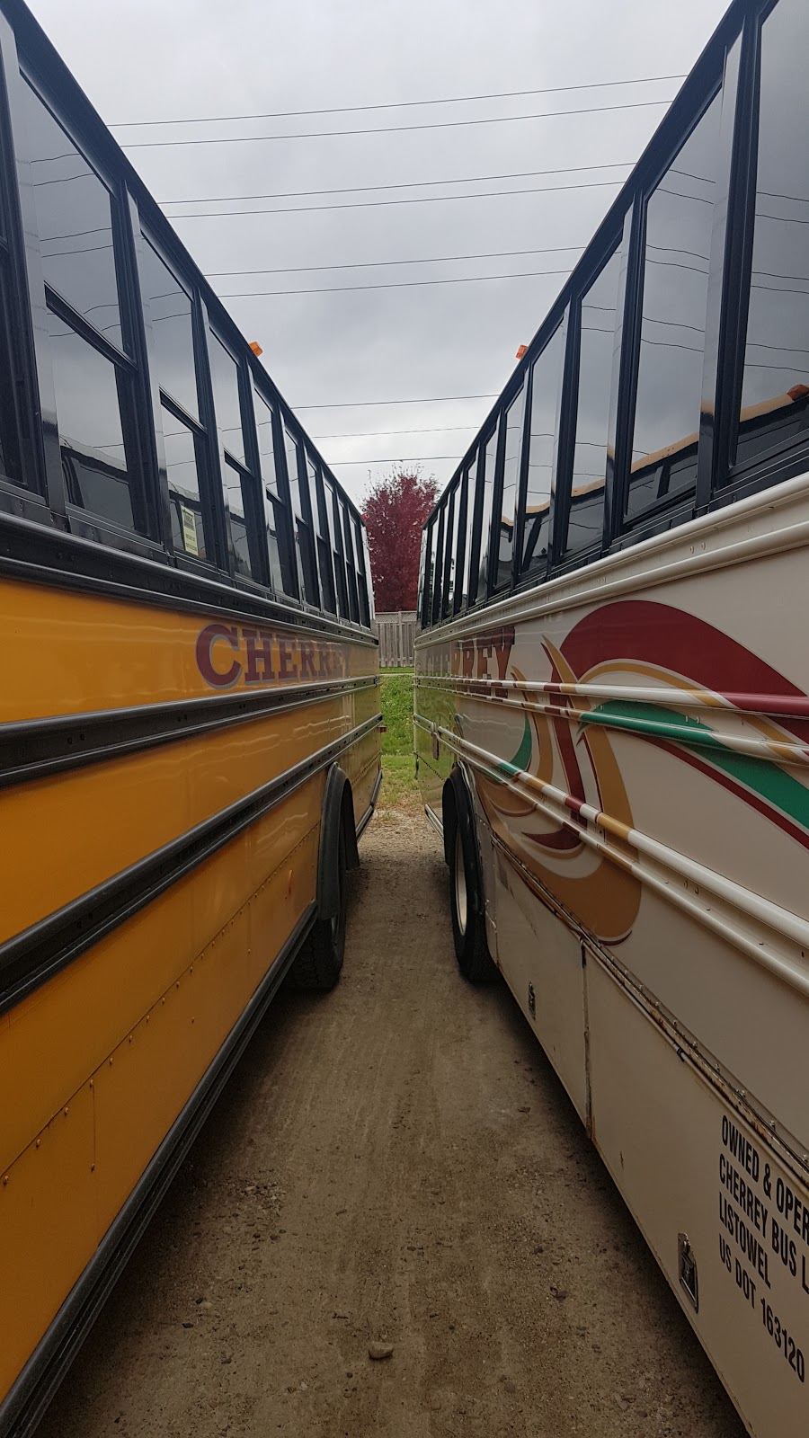Cherrey Bus Lines Inc | 555 Maitland Ave S, Listowel, ON N4W 2M7, Canada | Phone: (519) 291-2054