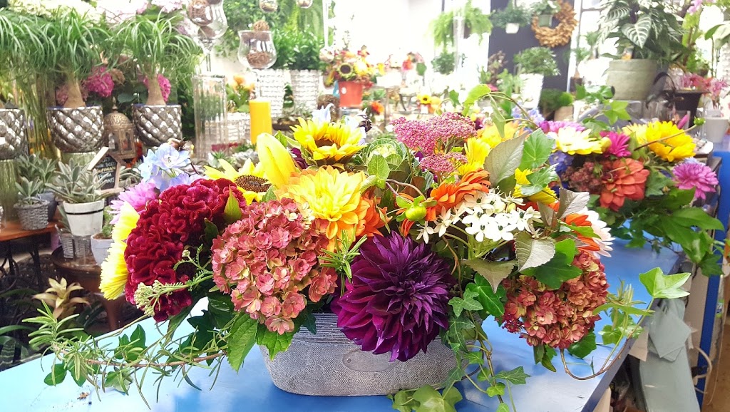 Forever Blooming | 1107 Lorne Park Rd, Mississauga, ON L5H 3A1, Canada | Phone: (905) 274-0866