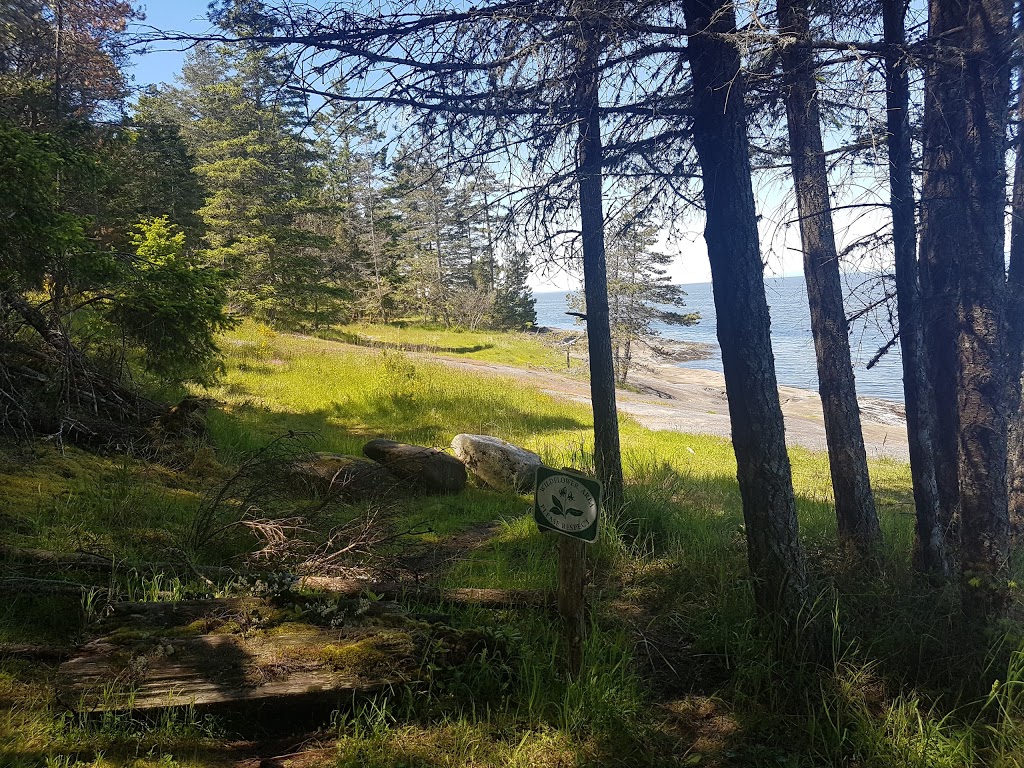 Shore Access 69 | 738 Sticks Allison Rd, Galiano Island, BC V0N 1P0, Canada
