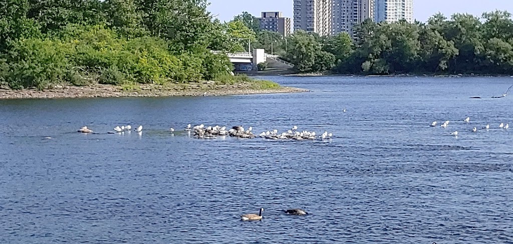 Bate Island | Champlain Bridge, Gatineau, Quebec K1Y, Canada