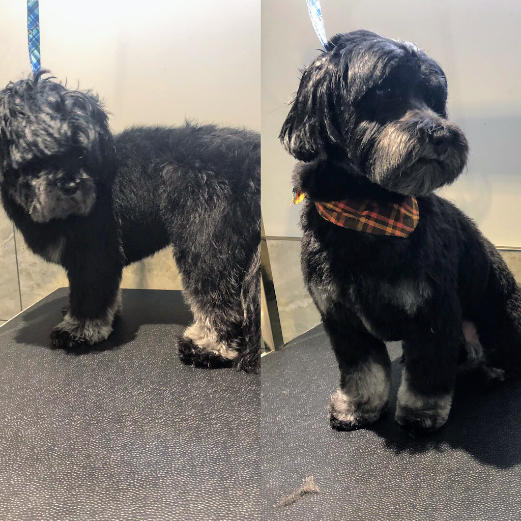 Scruff McGruff Day Spaw | 168 Coker Cres, Rockwood, ON N0B 2K0, Canada | Phone: (905) 702-2485