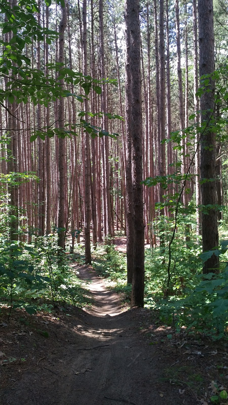 Spooky Hollow Nature Sanctuary | 293 Spooky Hollow Rd, Vittoria, ON N0E 1W0, Canada