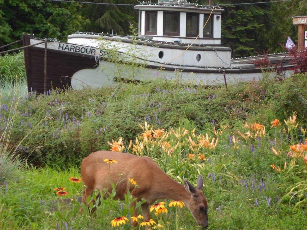 Pender Harbour Info Centre | 12911 Madeira Park Rd, Madeira Park, BC V0N 2H0, Canada | Phone: (604) 883-2561