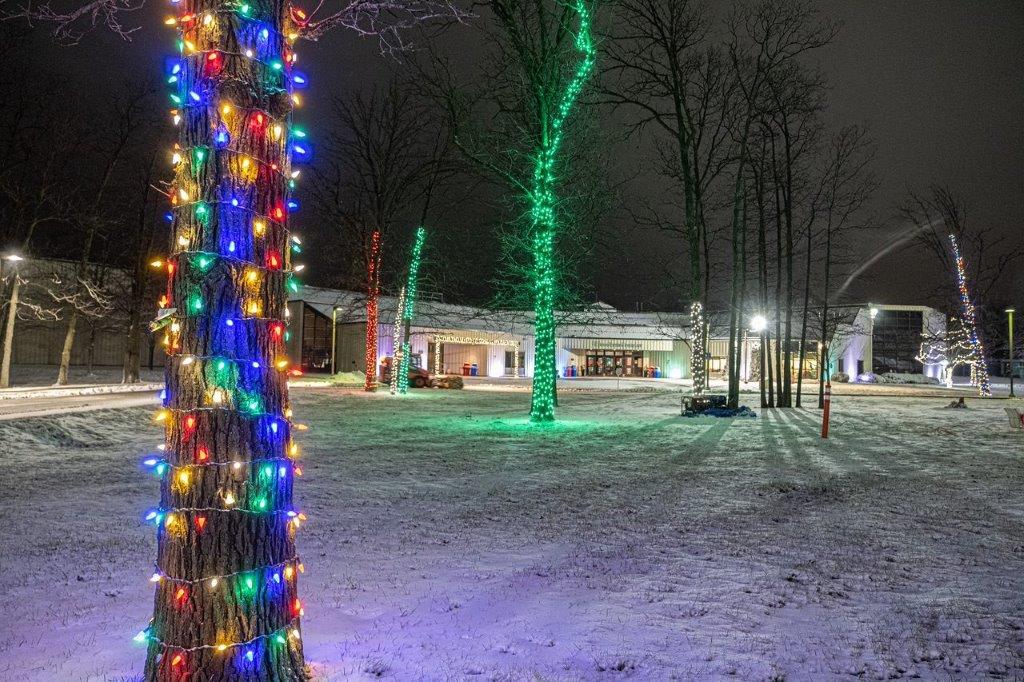 We Install Christmas Lights | 300 Marconi Gate #1002, London, ON N5V 4T2, Canada | Phone: (519) 266-6796