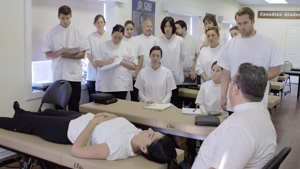 Canadian Academy of Osteopathy | 66 Ottawa St N, Hamilton, ON L8H 3Z1, Canada | Phone: (866) 320-9898