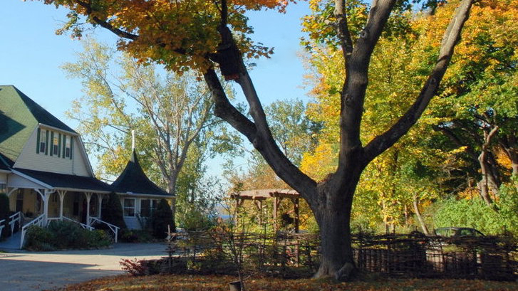 Loretto Maryholme | 379A Bouchier St, Roches Point, ON L0E 1P0, Canada | Phone: (905) 476-4013