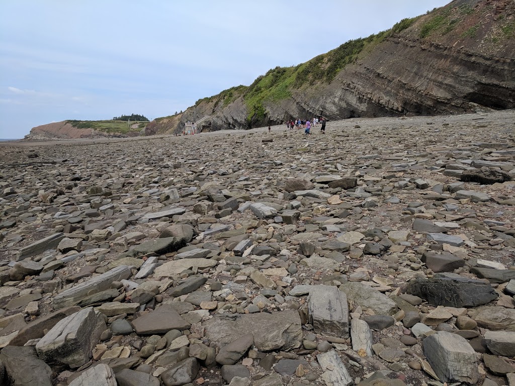 Joggins Fossil Cliffs | 100 Main St, Joggins, NS B0L 1A0, Canada | Phone: (902) 251-2727