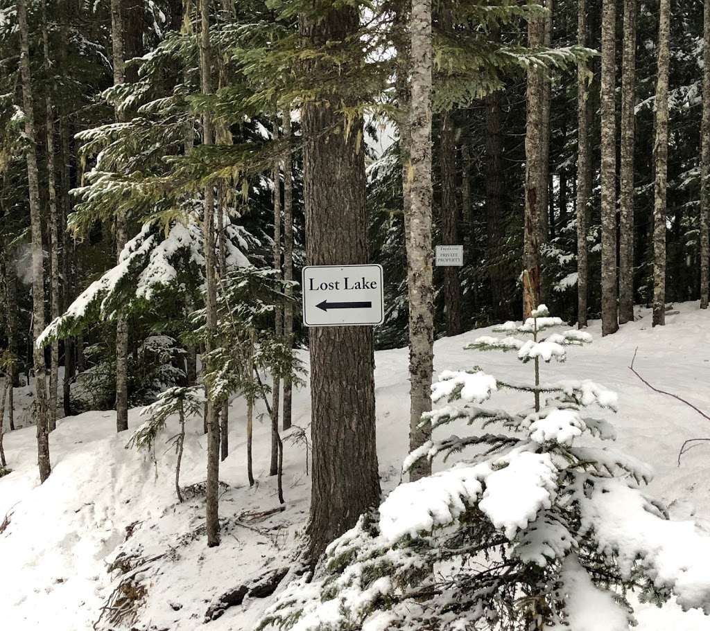 23 Treeline | 23-4661 Blackcomb Way, Whistler, BC V0N 1B4, Canada | Phone: (604) 902-2211