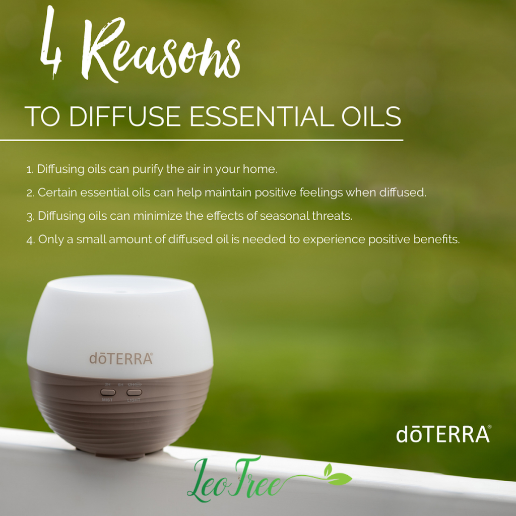 LeoTree Wellness | 123 Anywhere, Rapelje St, St Thomas, ON N5R 0H1, Canada | Phone: (519) 200-9185
