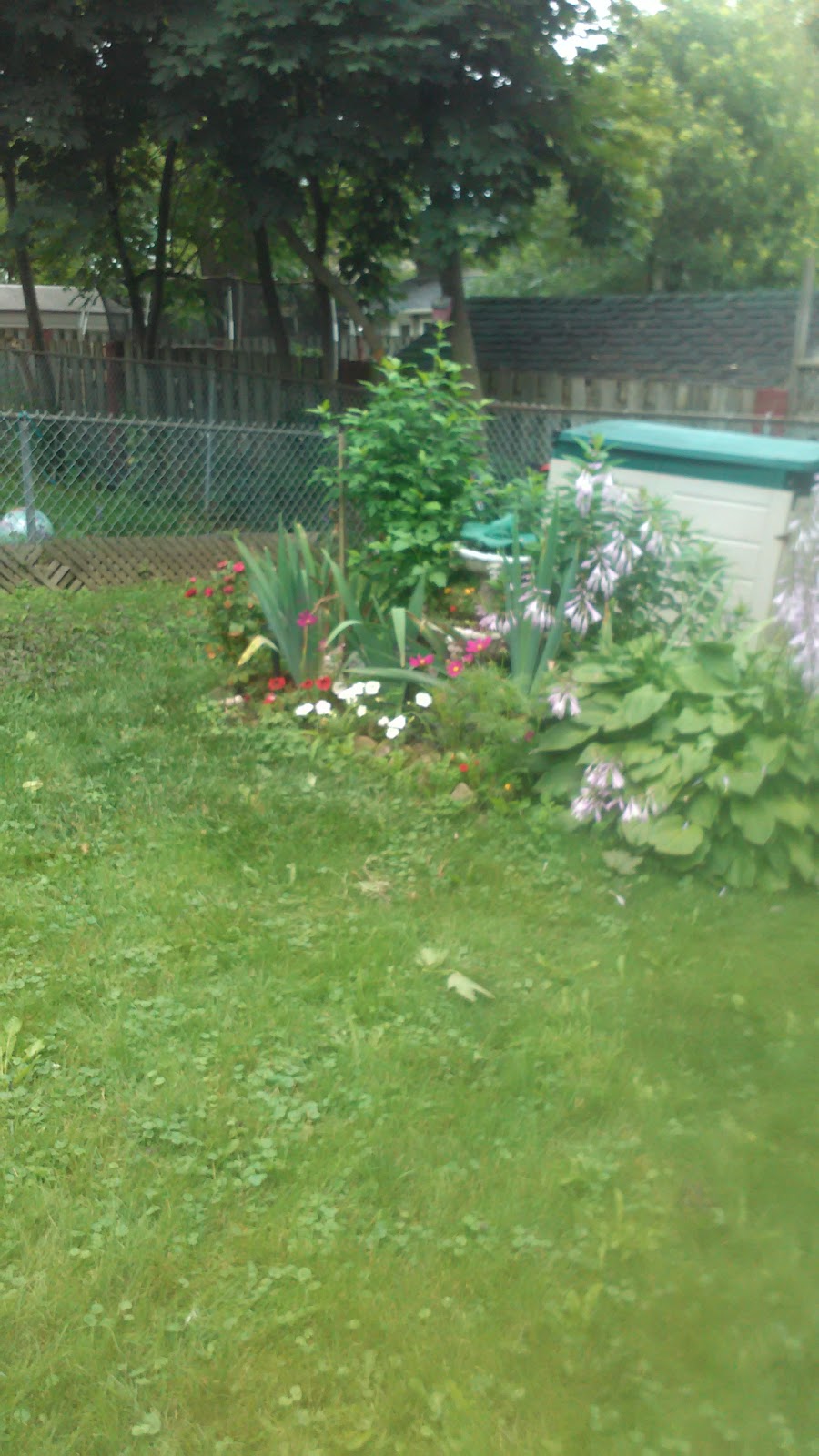 Cobblehill Homes Co-Operative Inc | 53 Cook St, Acton, ON L7J 1Z5, Canada | Phone: (519) 853-1226