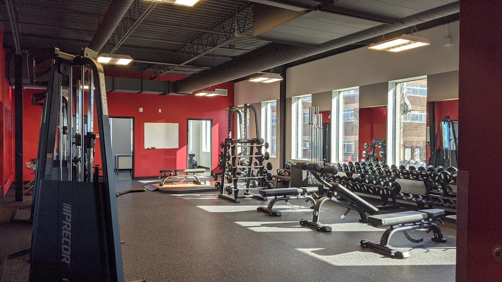 World Gym | 9200 Boulevard de lAcadie, Montréal, QC H4N 2T2, Canada | Phone: (438) 500-6500