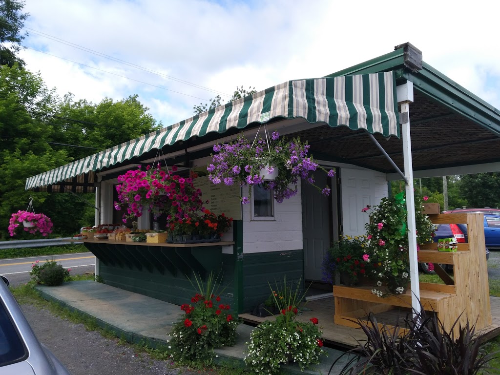 Jean Yves Gamelin Farm | 188 Rang du Chenal Tardif, Pierreville, QC J0G 1J0, Canada | Phone: (450) 568-2654